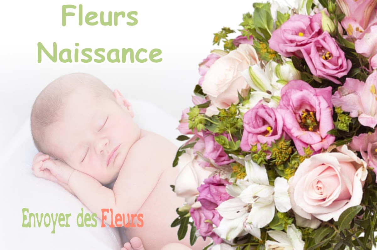 lIVRAISON FLEURS NAISSANCE à PRISCES